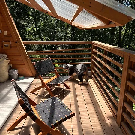 Villa Loblolly Pines Adventure Aframe #2 à Eureka Springs Extérieur photo