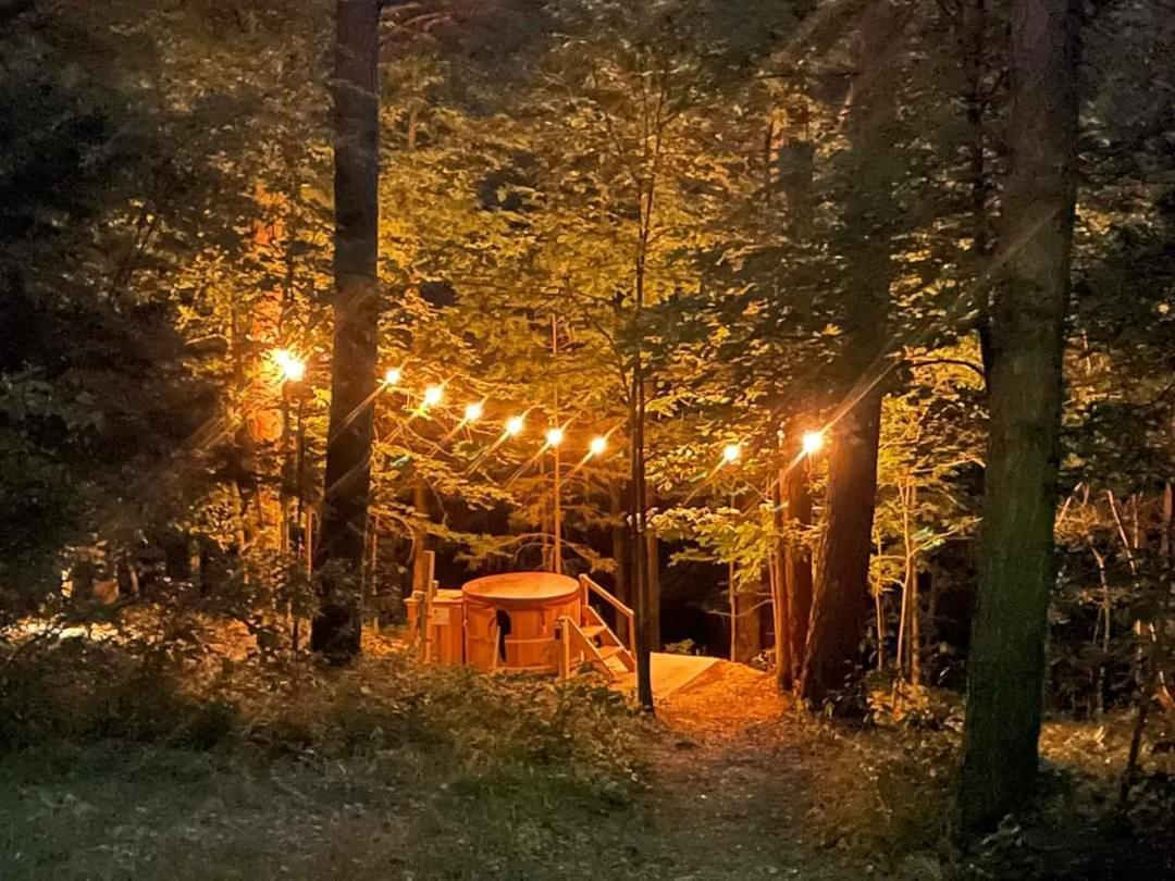 Loblolly Pines Adventure Aframe #2 * Eureka Springs